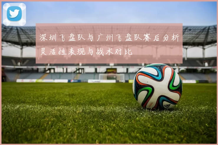 深圳飞盘队与广州飞盘队赛后分析灵活性表现与战术对比