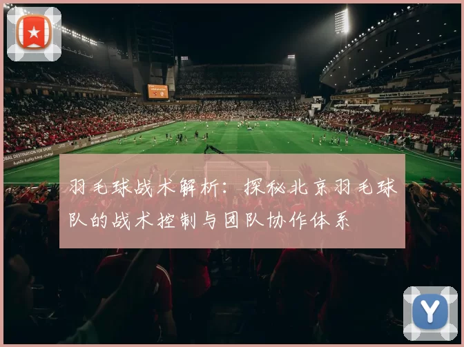 羽毛球战术解析：探秘北京羽毛球队的战术控制与团队协作体系