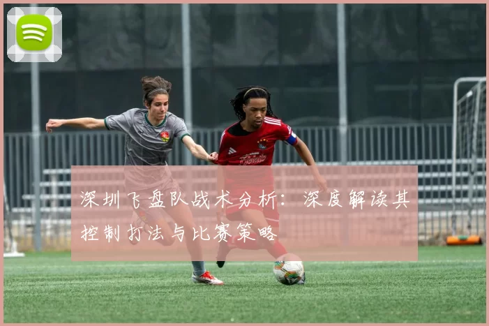 深圳飞盘队战术分析：深度解读其控制打法与比赛策略