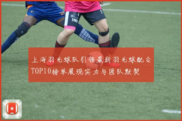 上海羽毛球队引领最新羽毛球配合TOP10榜单展现实力与团队默契