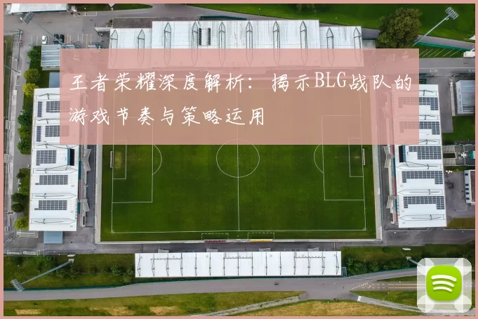 王者荣耀深度解析：揭示BLG战队的游戏节奏与策略运用