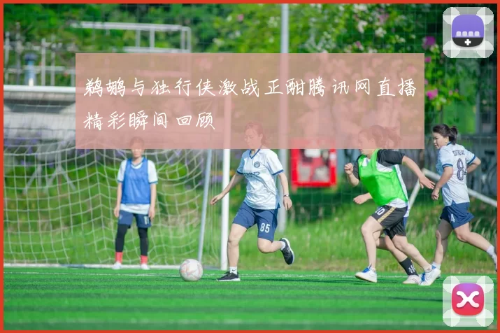 鹈鹕与独行侠激战正酣腾讯网直播精彩瞬间回顾