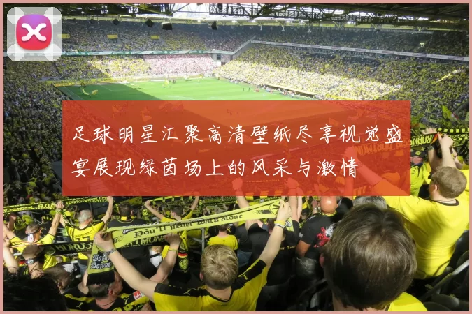 足球明星汇聚高清壁纸尽享视觉盛宴展现绿茵场上的风采与激情