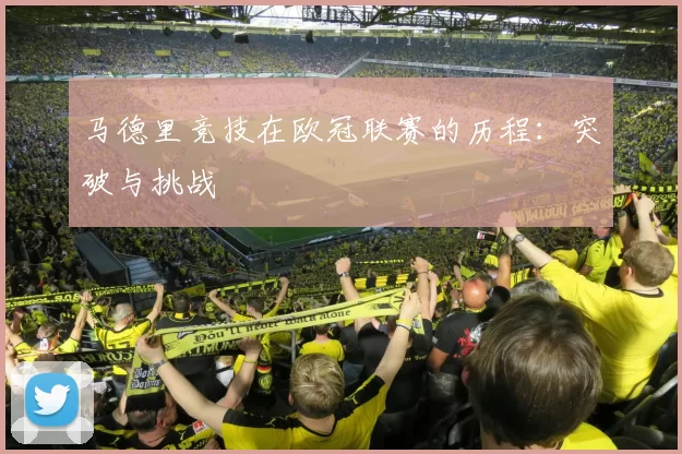 马德里竞技在欧冠联赛的历程：突破与挑战