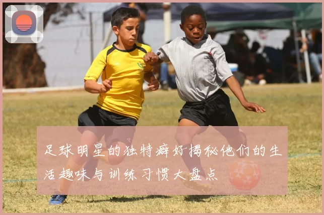足球明星的独特癖好揭秘他们的生活趣味与训练习惯大盘点