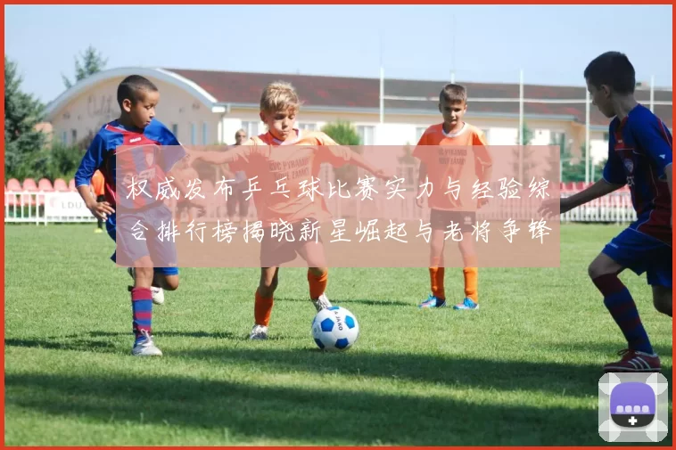 权威发布乒乓球比赛实力与经验综合排行榜揭晓新星崛起与老将争锋