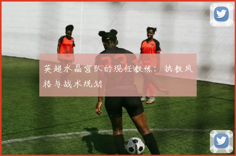 英超水晶宫队的现任教练：执教风格与战术规划