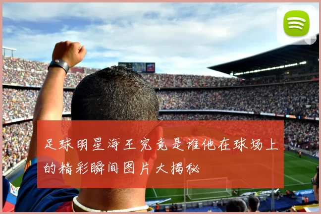 足球明星海王究竟是谁他在球场上的精彩瞬间图片大揭秘