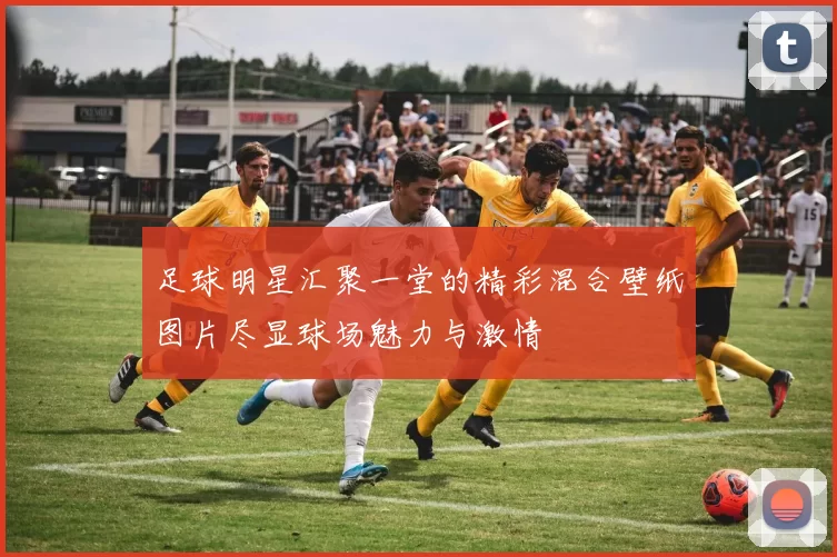 足球明星汇聚一堂的精彩混合壁纸图片尽显球场魅力与激情