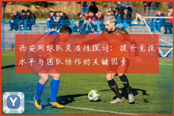 西安网球队灵活性探讨：提升竞技水平与团队协作的关键因素