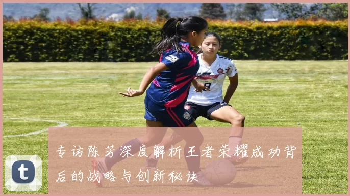 专访陈芳深度解析王者荣耀成功背后的战略与创新秘诀