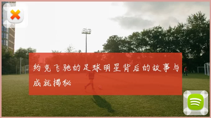 约克飞驰的足球明星背后的故事与成就揭秘