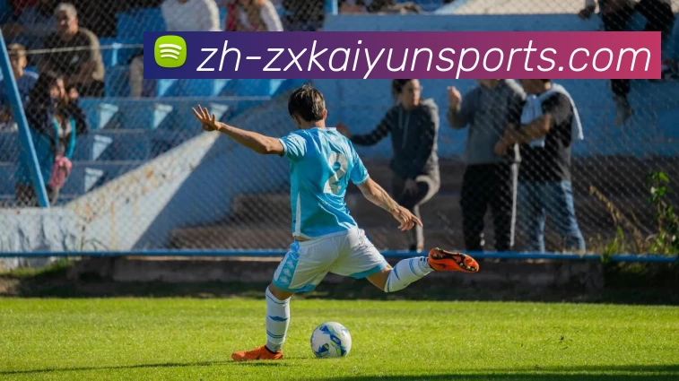 开云体育平台生态图